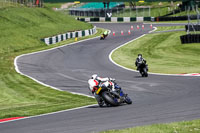 cadwell-no-limits-trackday;cadwell-park;cadwell-park-photographs;cadwell-trackday-photographs;enduro-digital-images;event-digital-images;eventdigitalimages;no-limits-trackdays;peter-wileman-photography;racing-digital-images;trackday-digital-images;trackday-photos